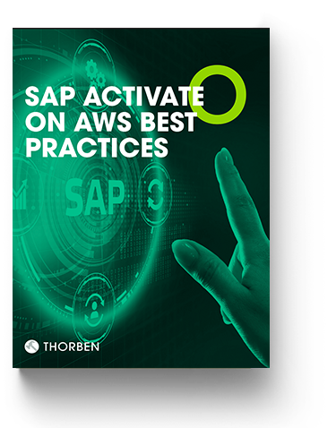 SAP Activate White Paper S/4HANA & SAP RISE in the Federal Government